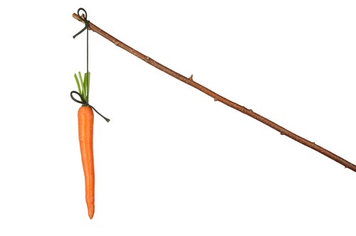 carrot